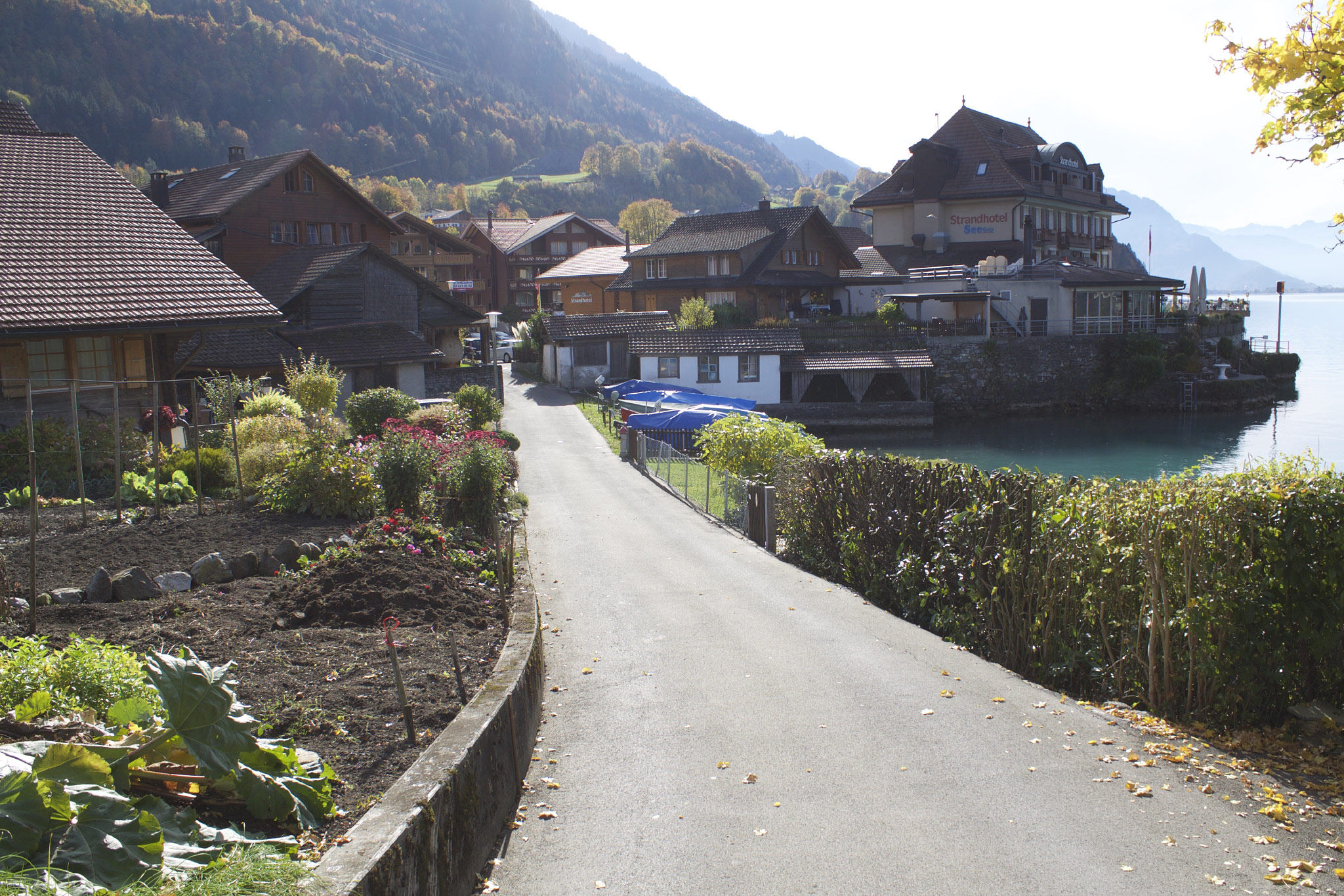 Iseltwald, Brienzersee